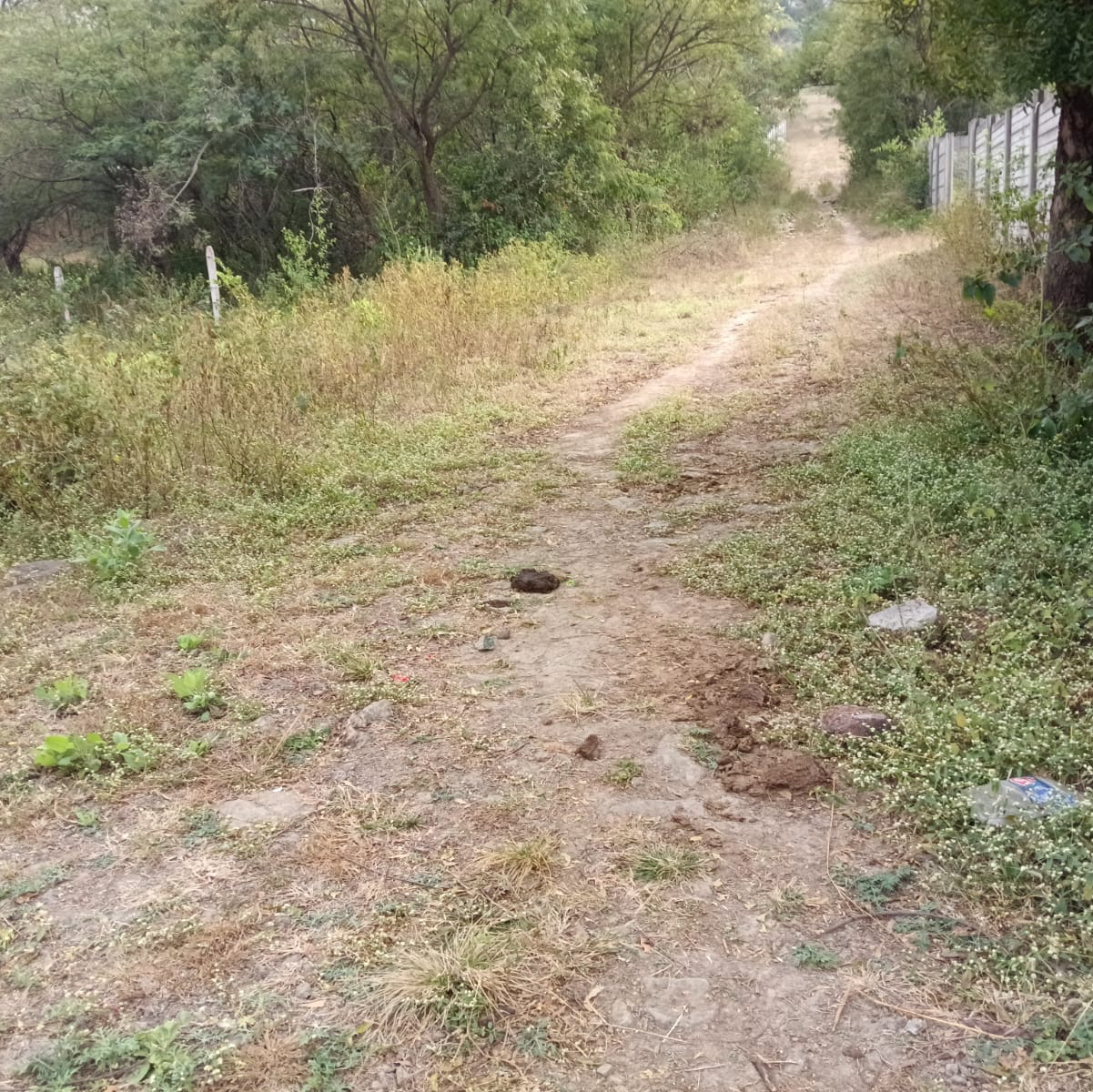 Plot For Sale in Sairung City