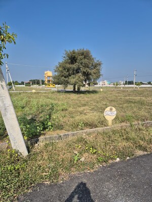 Plot Area in  Plot at Panchalingala – for Sale