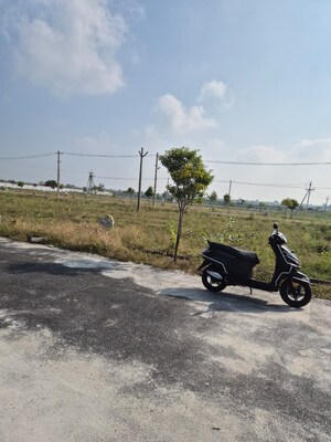 Plot Area in  Plot at Panchalingala – for Sale