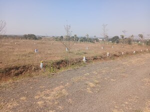 Plot Area in  Plot at Pimpalgaon Bahula – for Sale