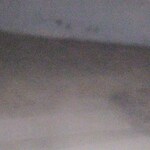 192 Sq.Yd. Plot in DLF Garden City Plots I