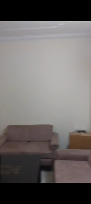 2 BHK Apartment For Rent in Mittal Cosmos Executive Apartment, Sector 2