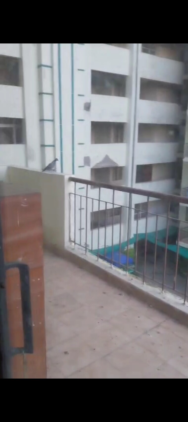 Balcony, mittal-cosmos-executive-apartment 2 Bedroom 1145 Sq.Ft. Apartment In Sector 2 Gurgaon 9608911