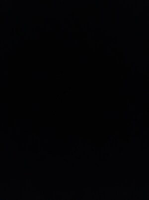 1 BHK Apartment For Rent in Vilas Javdekar Yashone Eternitee, Hinjewadi