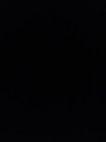 1 BHK Apartment For Rent in Vilas Javdekar Yashone Eternitee, Hinjewadi