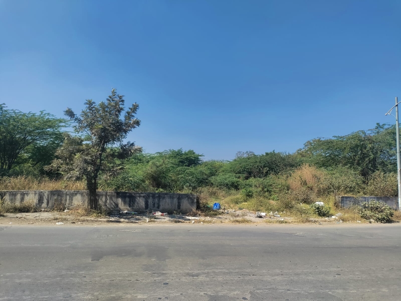 Plot For Sale in Dholera