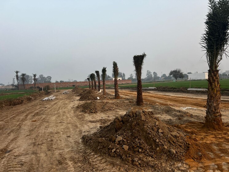 undefined, tappal  100 Sq.Yd. Plot In Tappal Aligarh 9609615