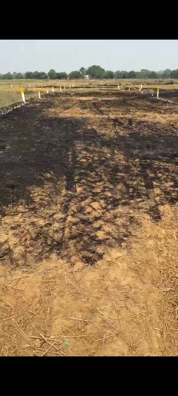 Plot Area in  Plot at Boriyakhurd – for Sale