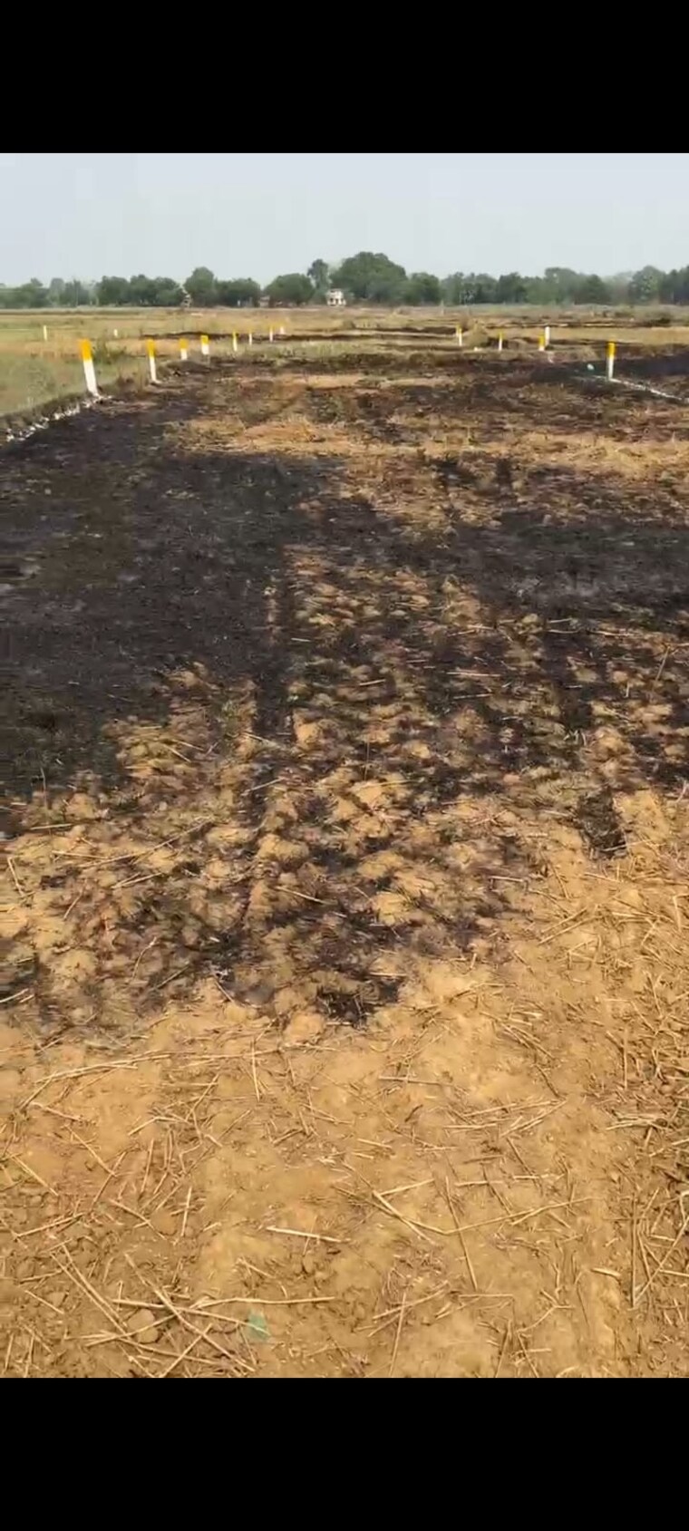 undefined, boriyakhurd  1250 Sq.Ft. Plot In Boriyakhurd Raipur 9565053