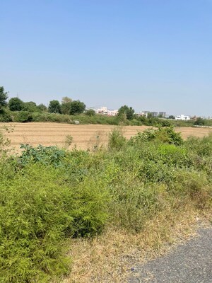Plot Area in  Plot at Yamuna Expressway – for Sale