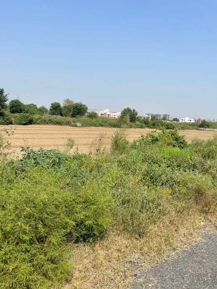 undefined, yamuna expressway  155 Sq.Yd. Plot In Yamuna Expressway Greater Noida 9609525