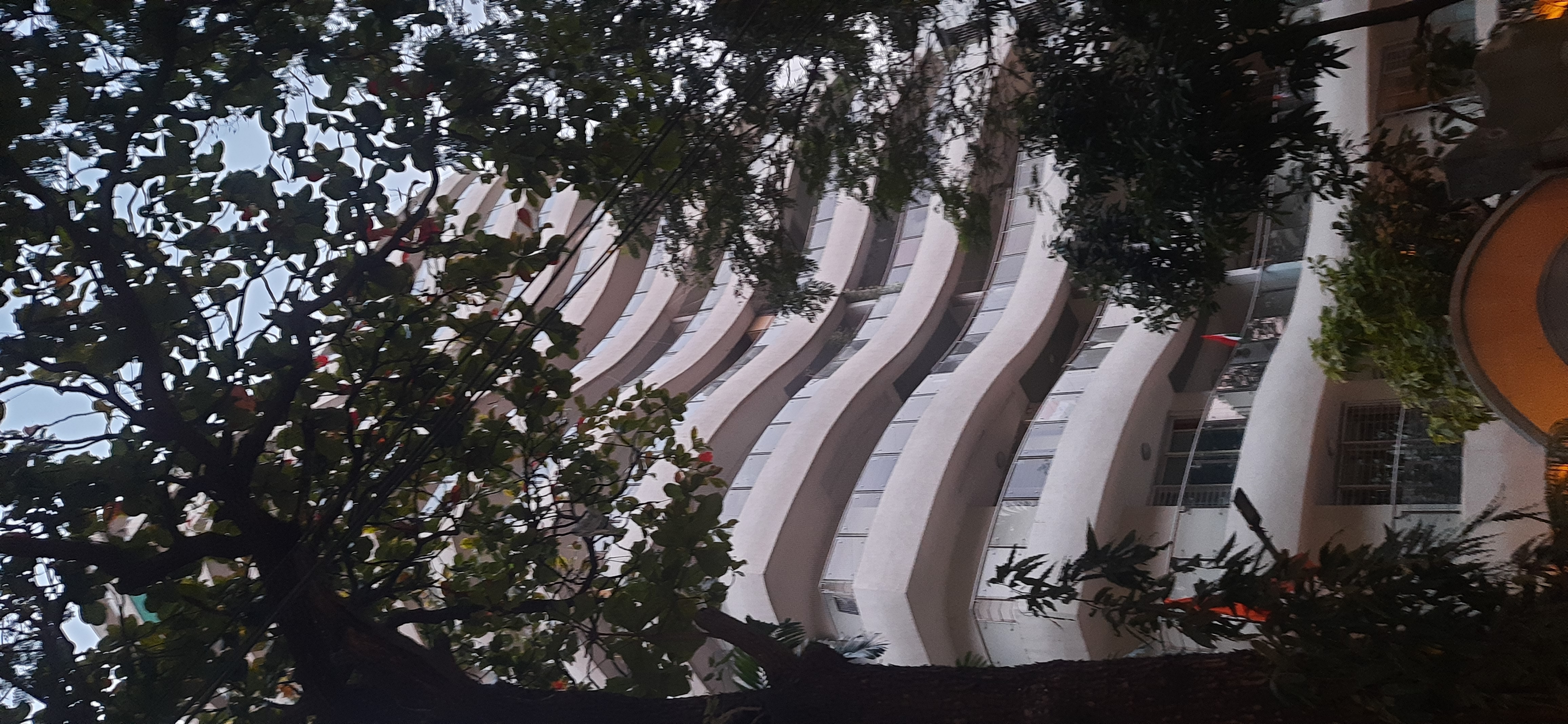 3 BHK + Servant Room Apartment For Rent in Brand Newbuilding