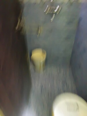 Bathroom in 2 BHK Apartment at Neknampur – for Rent