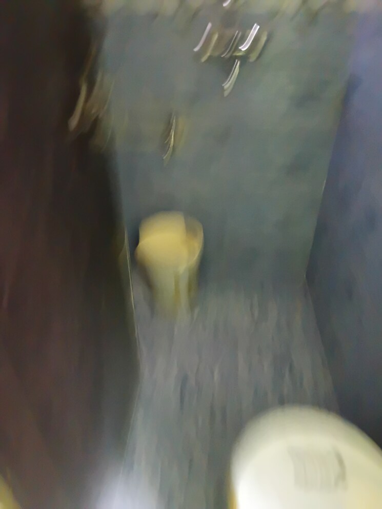 Bathroom, neknampur 2 Bedroom 1071 Sq.Ft. Apartment In Neknampur Hyderabad 9609741