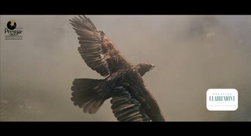 Staircase in 3 BHK Apartment at Prestige Clairemont, Kokapet – for Sale