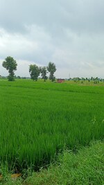 1361 Sq.Ft. Plot in Bright Property 