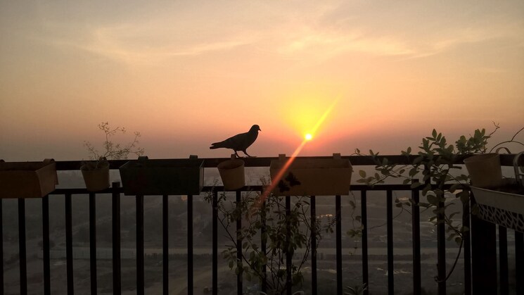 Exterior View, cybercity-rainbow-vistas-rock-gardens 3 Bedroom 1865 Sq.Ft. Apartment In Hi Tech City Hyderabad 9609941