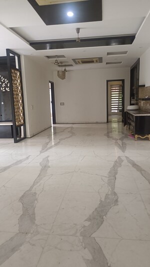 5 BHK Builder Floor For Rent in Old Rajinder Nagar