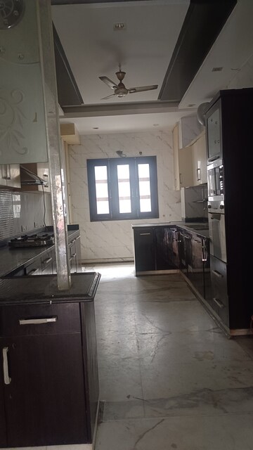 Kitchen in 5 BHK Builder Floor at Old Rajinder Nagar – for Rent