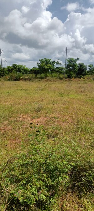  Plot For Sale in Fortune Butterfly City, Kadthal