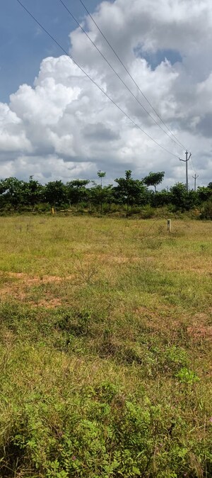  Plot For Sale in Fortune 18, Amangal