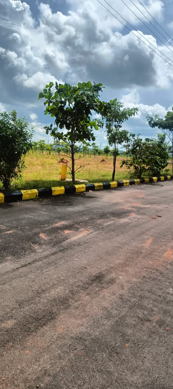 Plot For Sale in Fortune Butterfly City