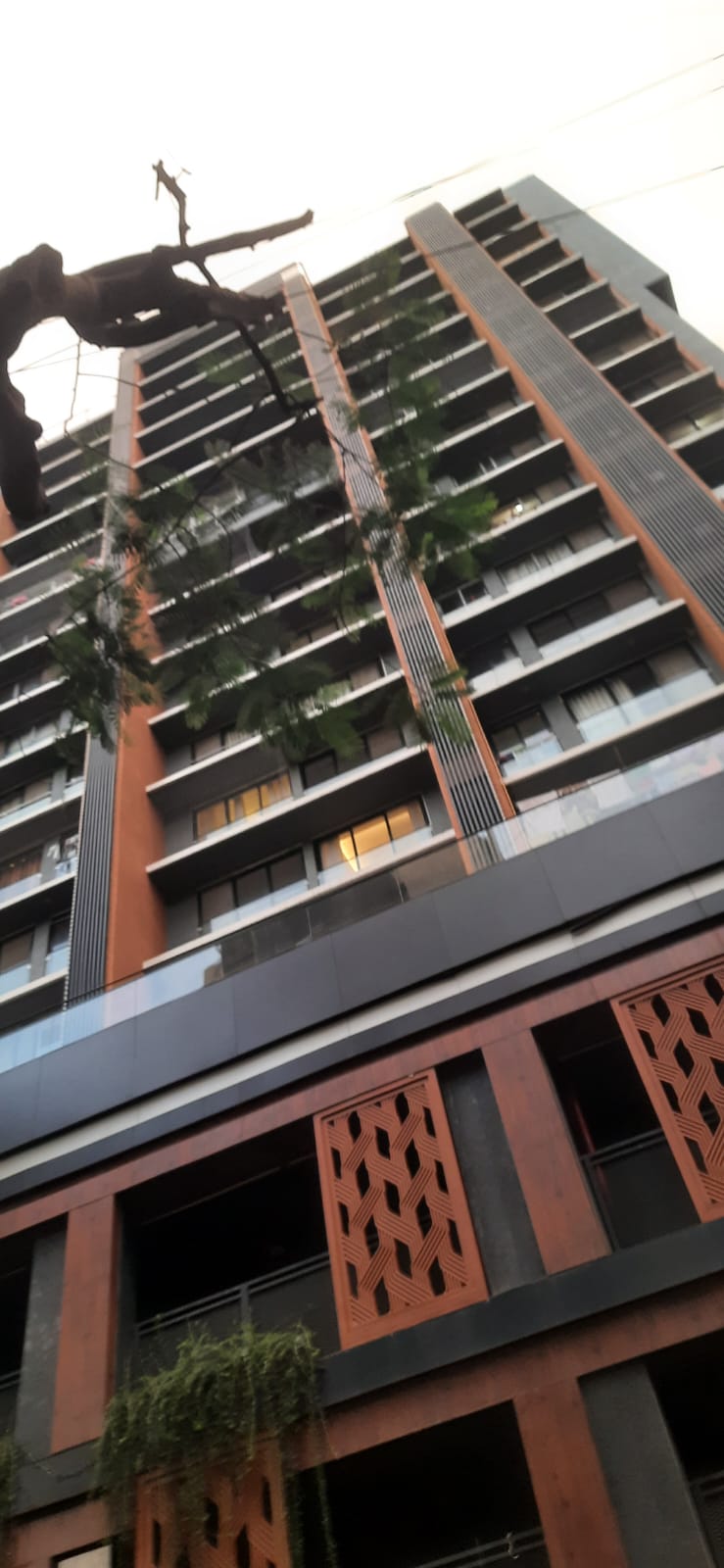 4 BHK + Servant Room Apartment For Rent in Brand Newbuilding