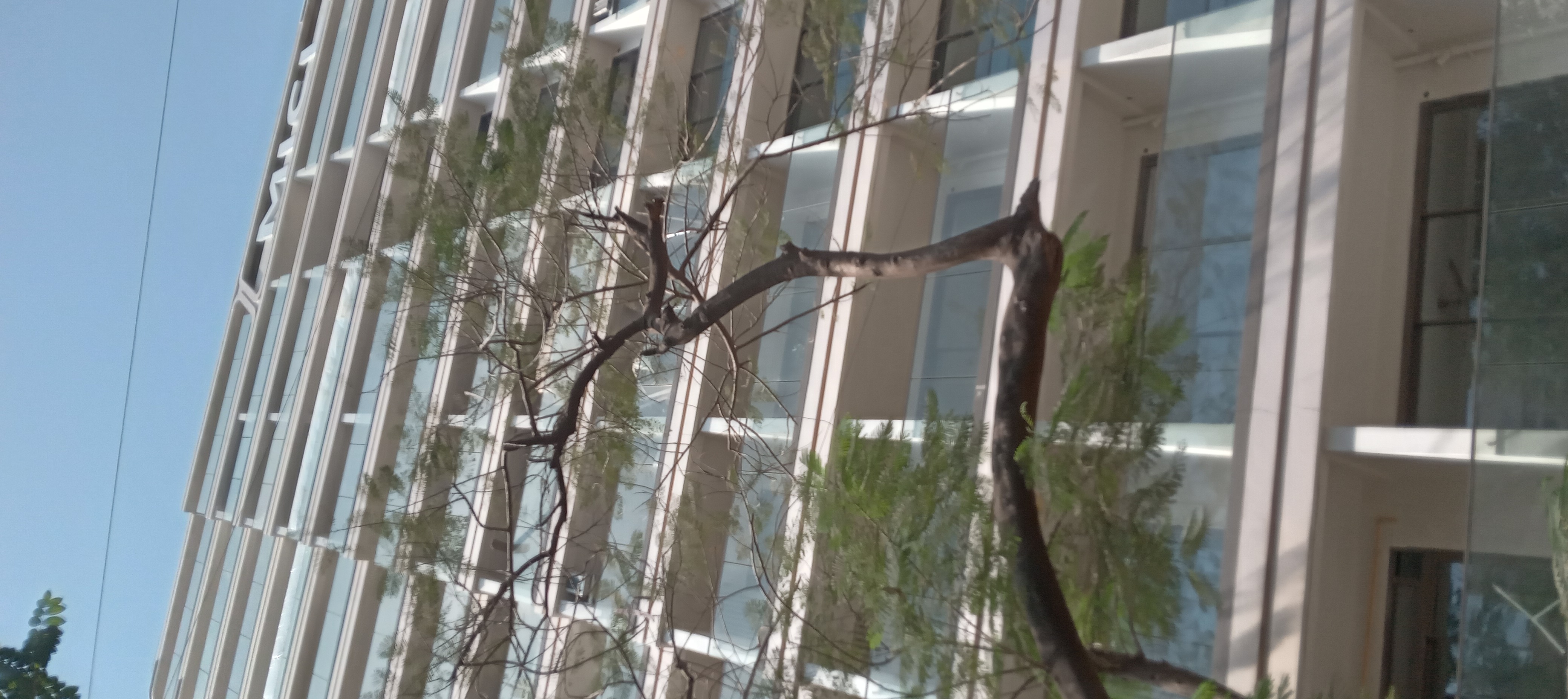 3 BHK + Servant Room Apartment For Rent in Off Carter Road