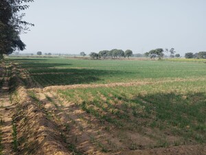 Plot Area in  Land at Pataudi – for Sale