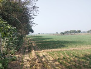 Plot Area in  Land at Pataudi – for Sale