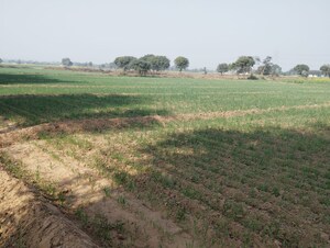 Plot Area in  Land at Pataudi – for Sale