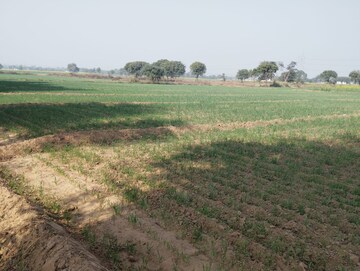 Plot Area in  Land at Pataudi – for Sale