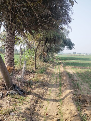 Plot Area in  Land at Pataudi – for Sale