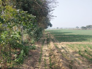 Plot Area in  Land at Pataudi – for Sale