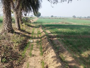 Plot Area in  Land at Pataudi – for Sale