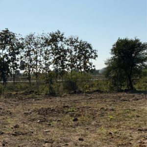 Plot Area in  Plot at Lonara – for Sale