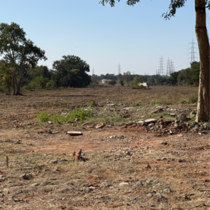 Plot Area in  Plot at Lonara – for Sale