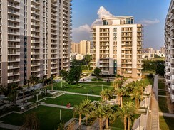 4 BHK Apartment For Sale in DLF The Ultima