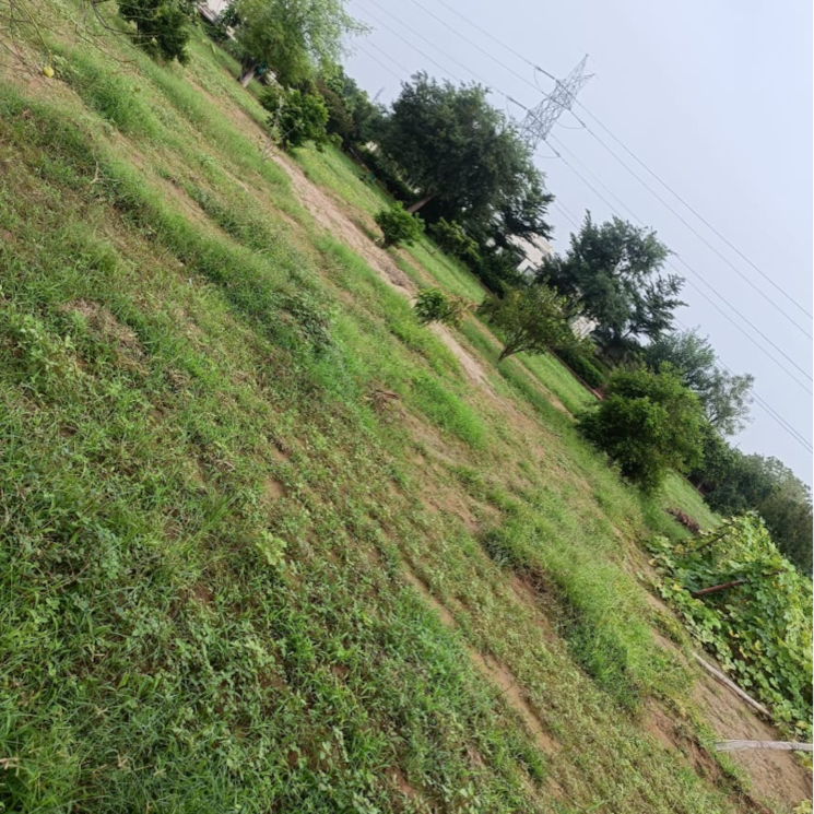 Garden, vatika-kunj 2 Bedroom 10800 Sq.Ft. Independent House In Maruti Kunj Gurgaon 9610977