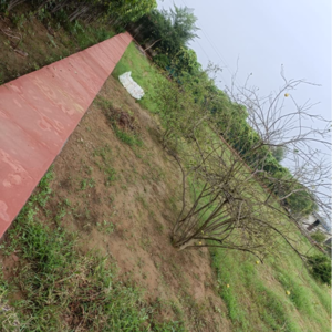 2 BHK Independent House – Garden View at Vatika Kunj, Maruti Kunj - for Sale