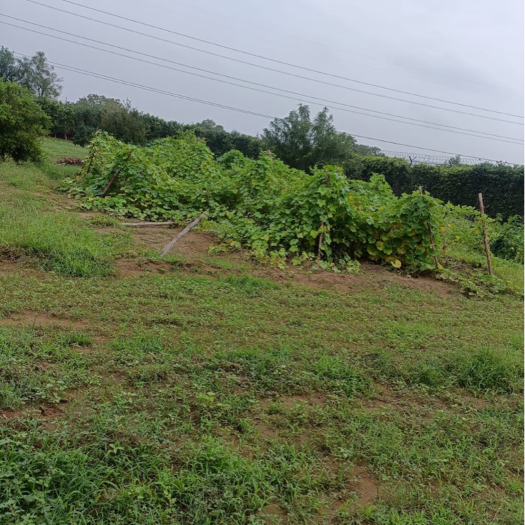 undefined, vatika-kunj 2 Bedroom 10800 Sq.Ft. Independent House In Maruti Kunj Gurgaon 9610977