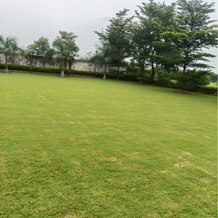 Garden, vatika-kunj 2 Bedroom 10800 Sq.Ft. Independent House In Maruti Kunj Gurgaon 9610977