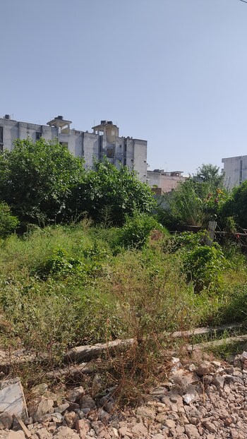 GDA Madhuban Bapu Dham Society