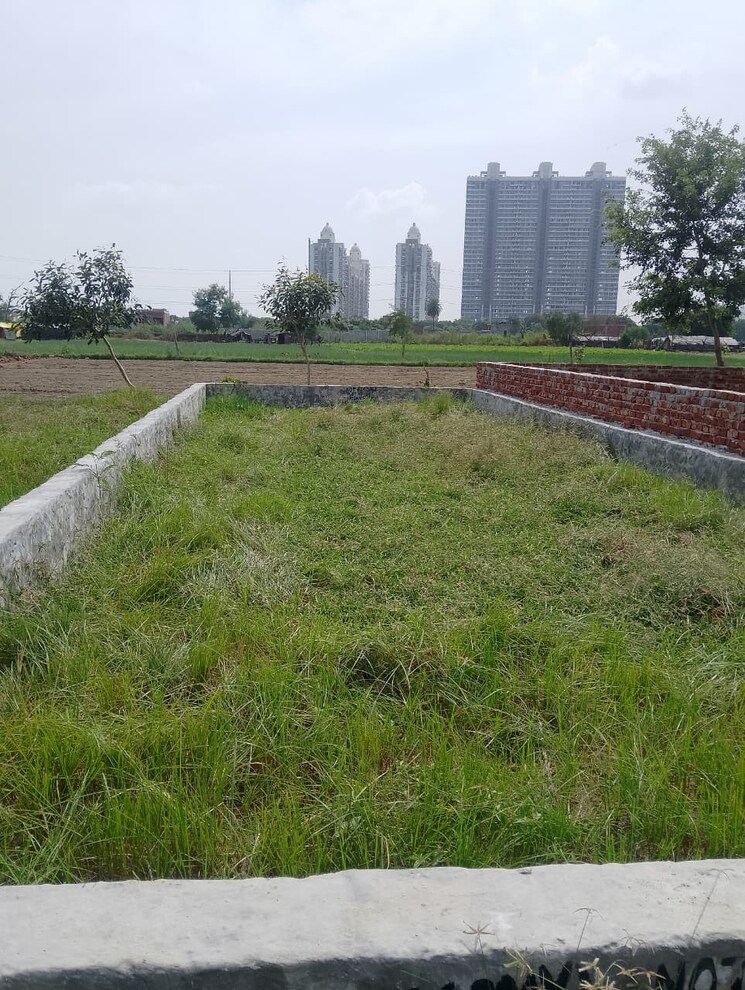 Garden, sector 144  560 Sq.Ft. Plot In Sector 144 Noida 9611157