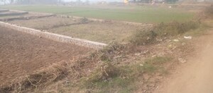 Plot Area in  Plot at Siktaur – for Sale