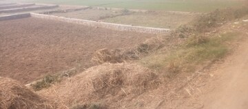  Plot For Sale in Siktaur