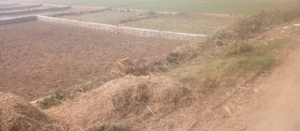 Plot For Sale in Siktaur