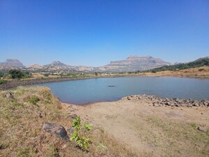  Plot – Exterior View View at Peth Road - for Sale