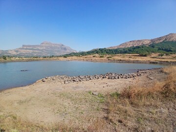 Plot Area in  Plot at Peth Road – for Sale