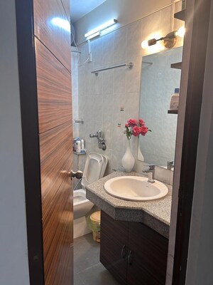 Bathroom in 2 BHK Apartment at Hiranandani Gardens Valencia, Powai – for Rent
